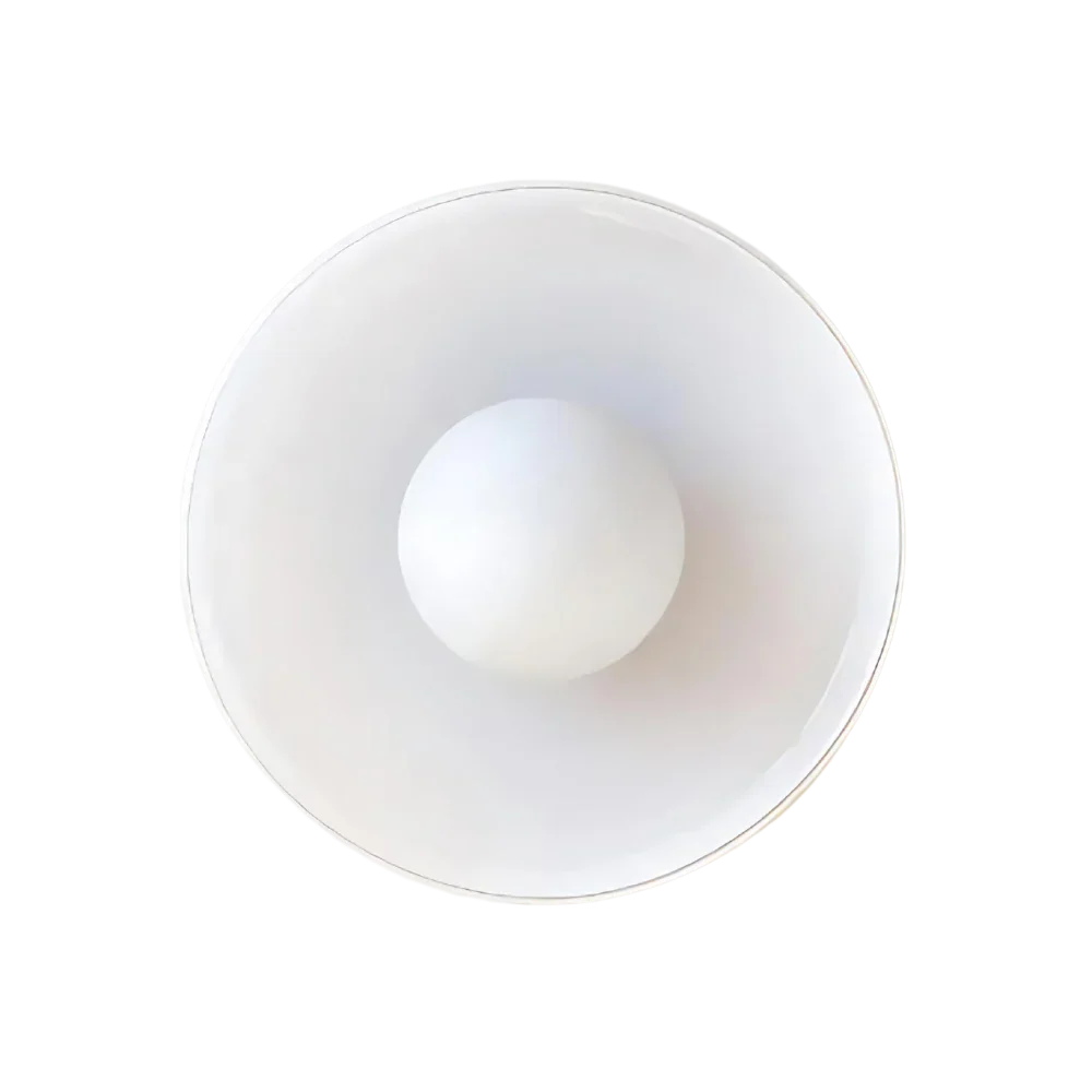 Modern Glass Disc Light with Dual Mounting