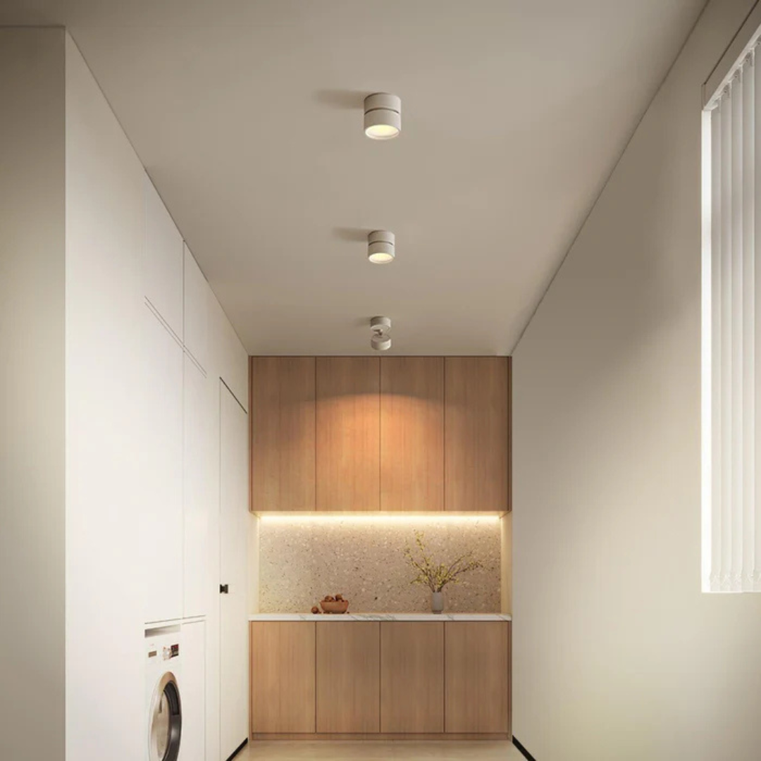 Modern LED Ceiling Light with Adjustable Head