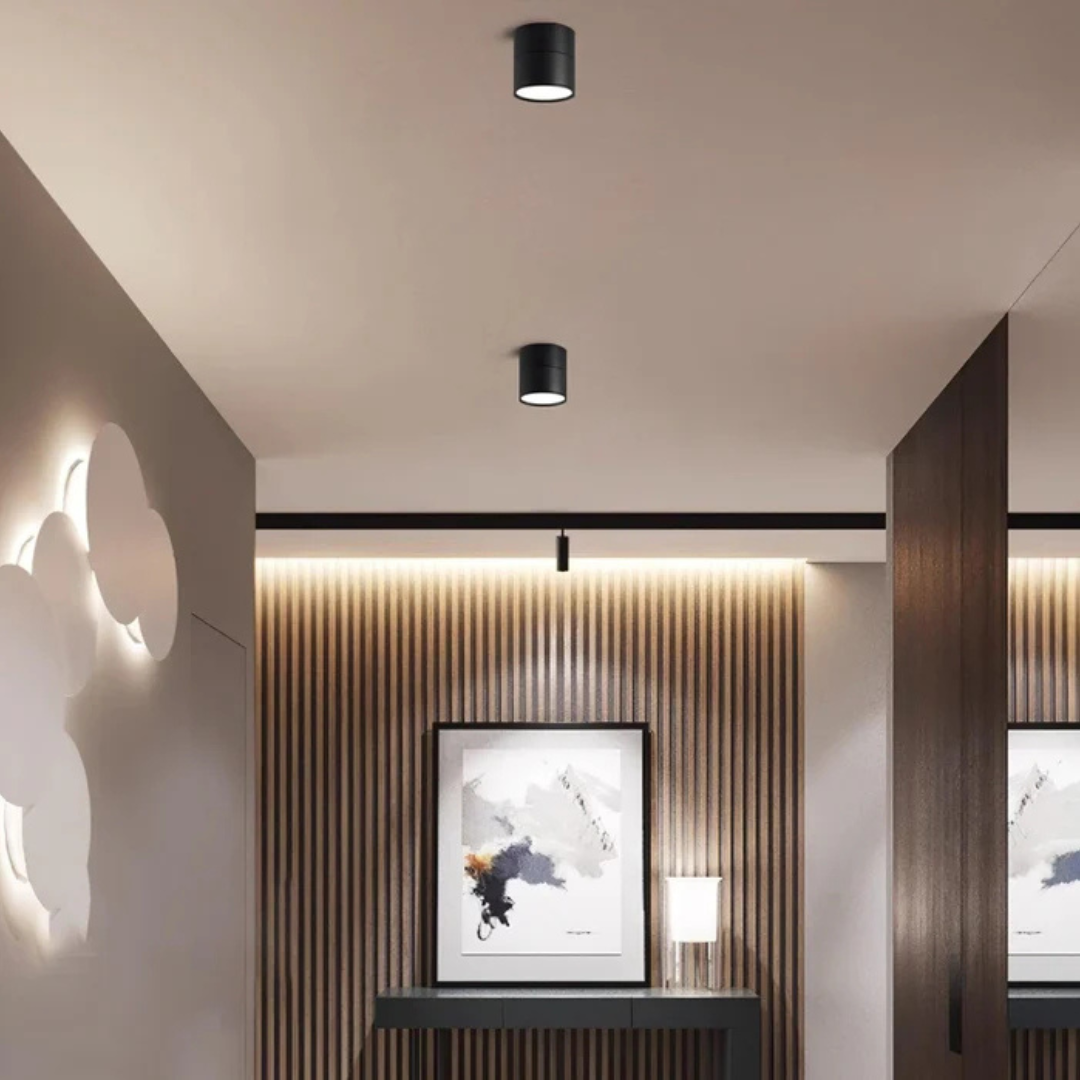 Modern LED Ceiling Light with Adjustable Head