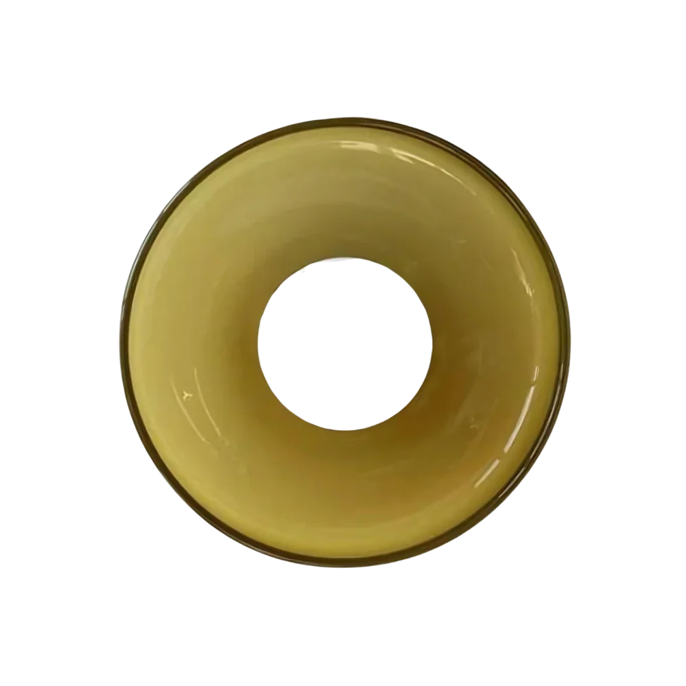 Modern Glass Disc Light with Dual Mounting