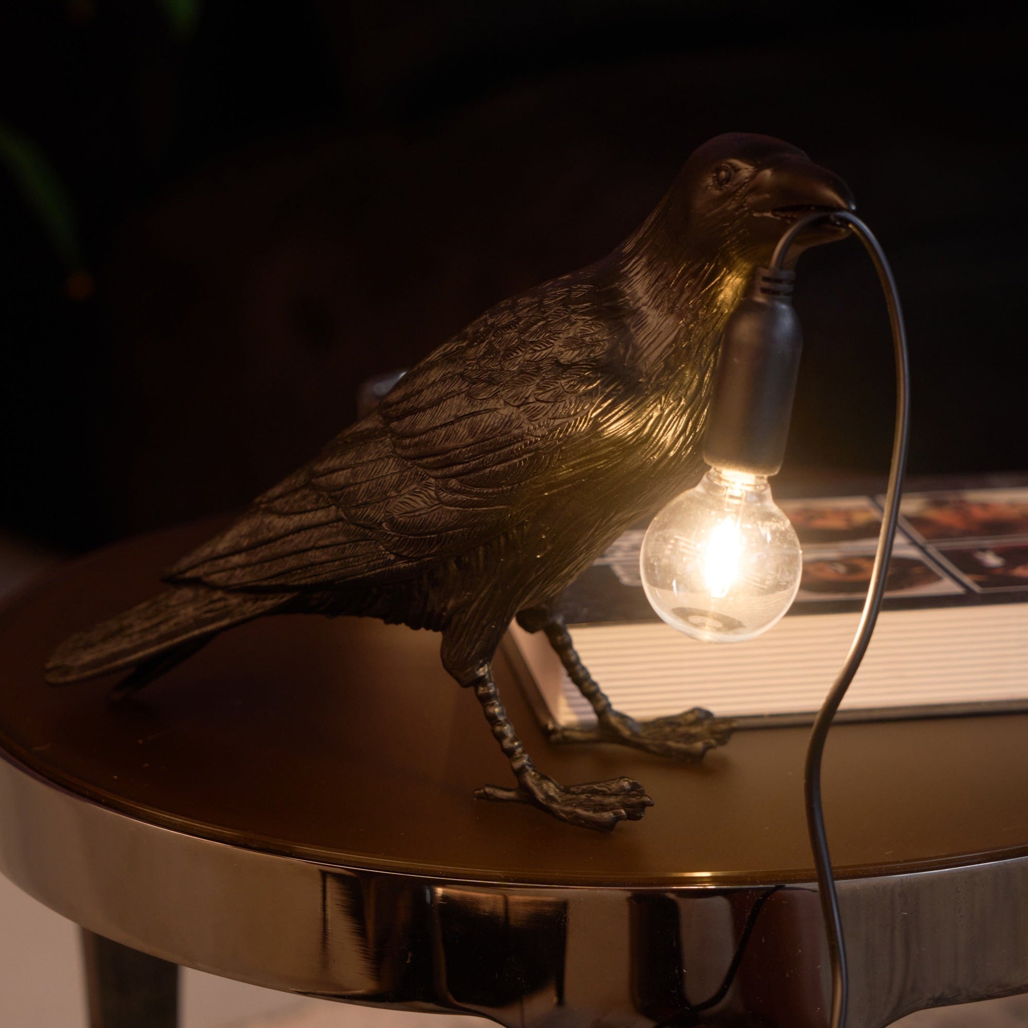 Black Resin Raven Lamp with Hanging LED Bulb