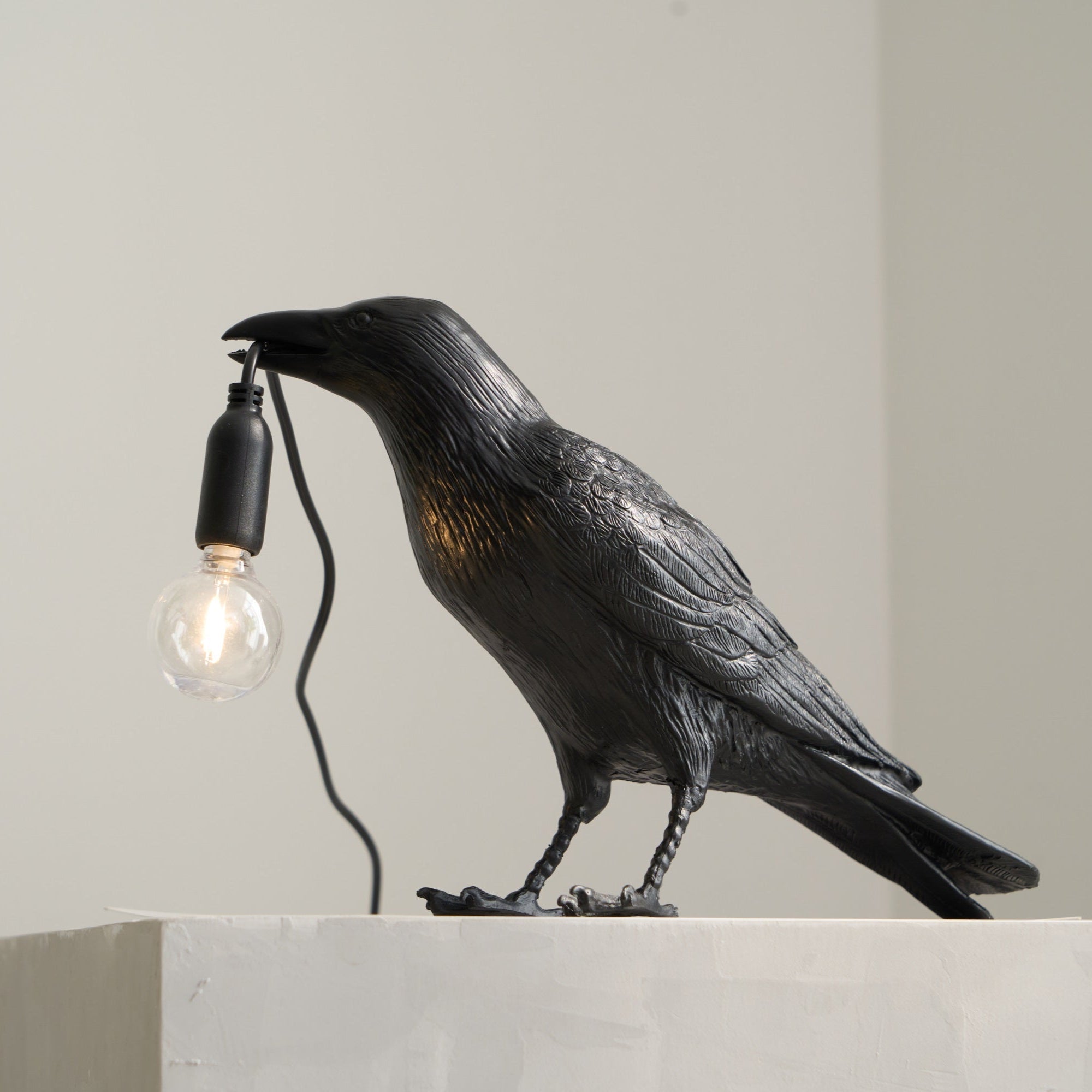 Black Resin Raven Lamp with Hanging LED Bulb