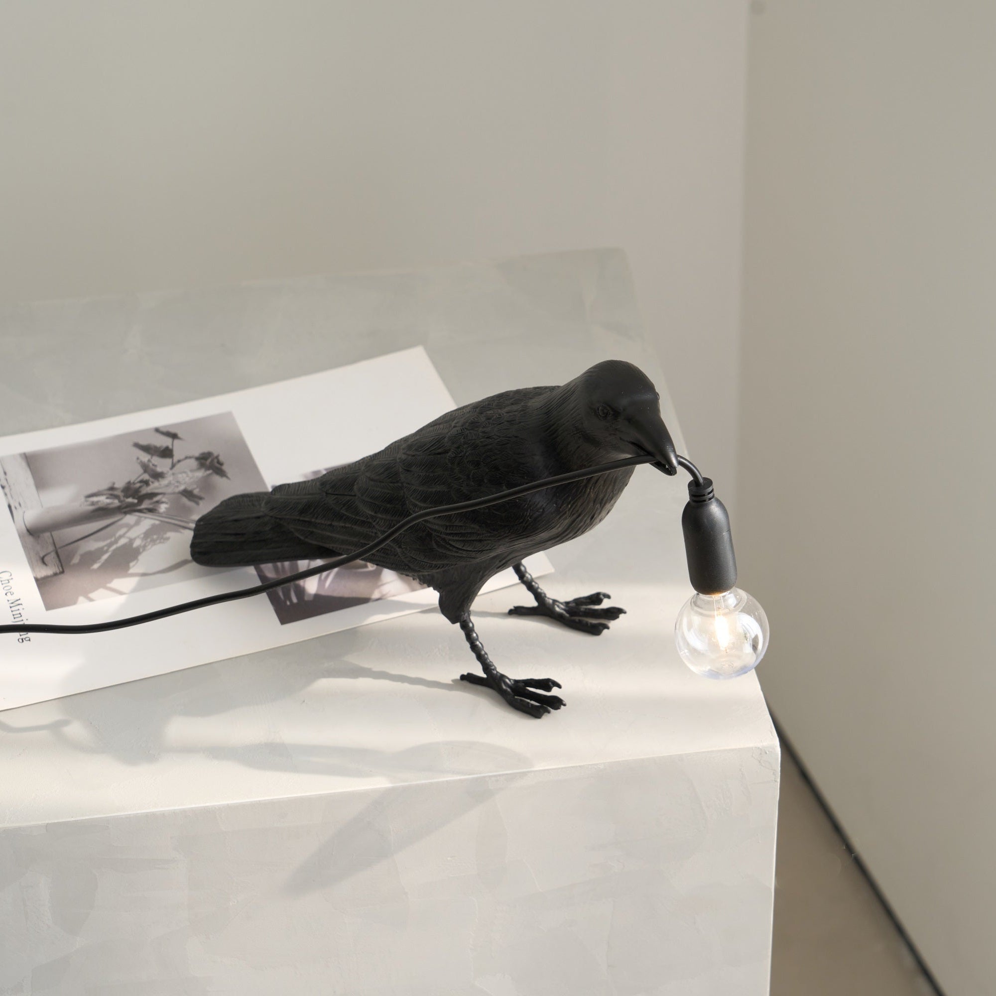 Black Resin Raven Lamp with Hanging LED Bulb