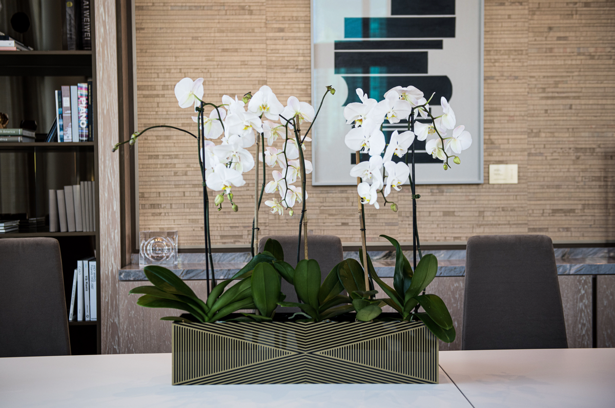 Flower Vase | Black and Gold