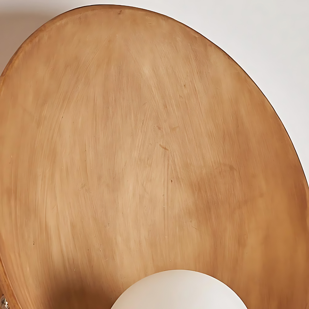 Japandi Resin Wall Sconce with Frosted Globe