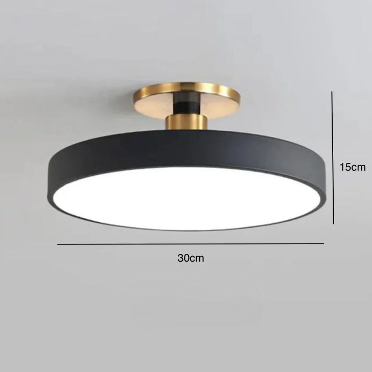 Modern Brass LED Ceiling Light with Acrylic