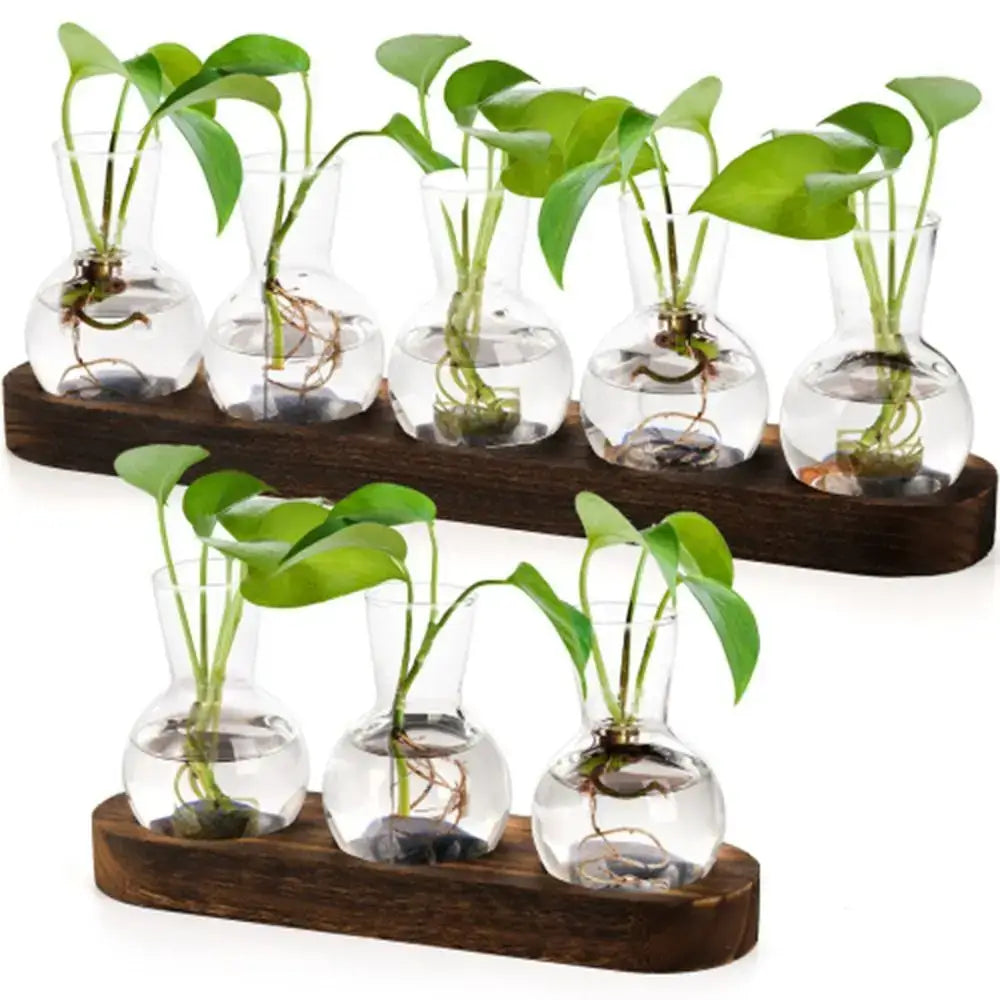 Modern Glass Propagation Vase with Wood Stand