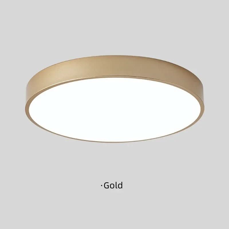 Modern Round LED Ceiling Light with Color Rim