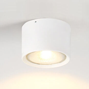 Nordic Cylinder Flush Mount LED Ceiling Light