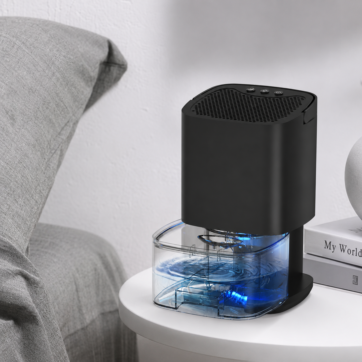 Portable Quiet Dehumidifier with Water Tank