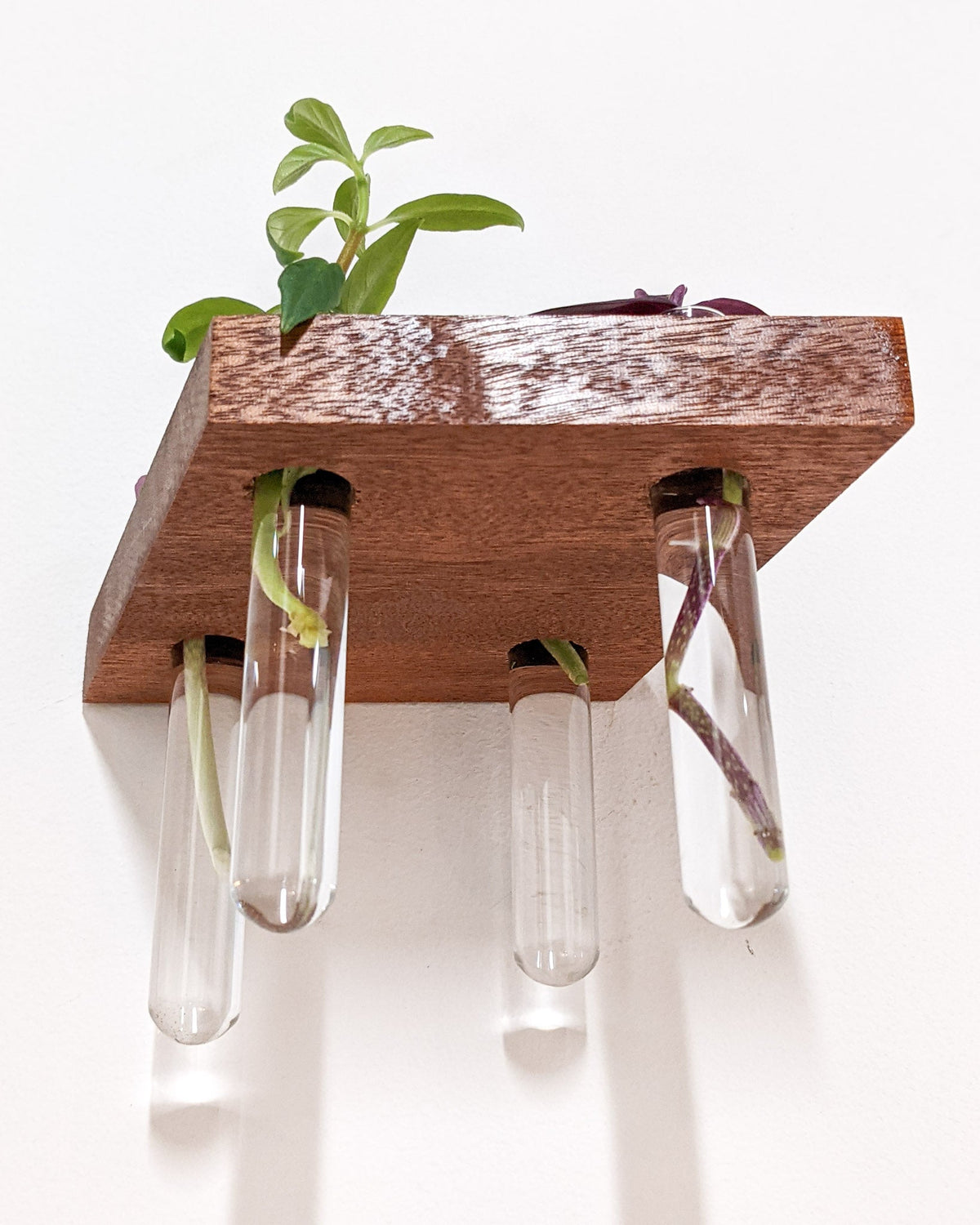 Rhombus Propagation Station Shelf for Plant Cuttings