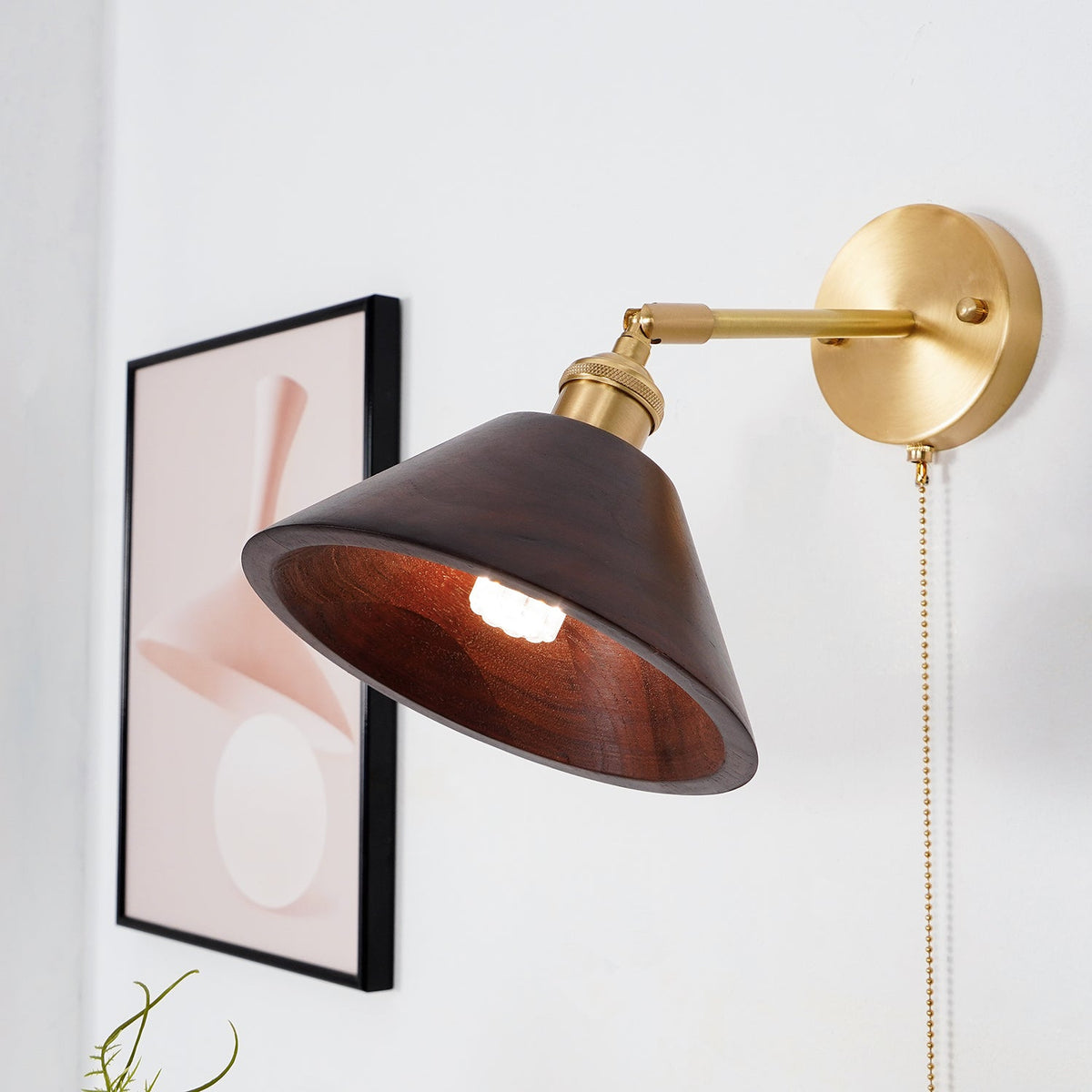 Walnut Wood Dome Sconce with Brass Arm