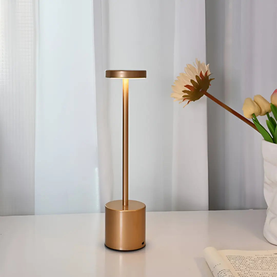 Rechargeable LED Table Lamp with Touch Dimmer
