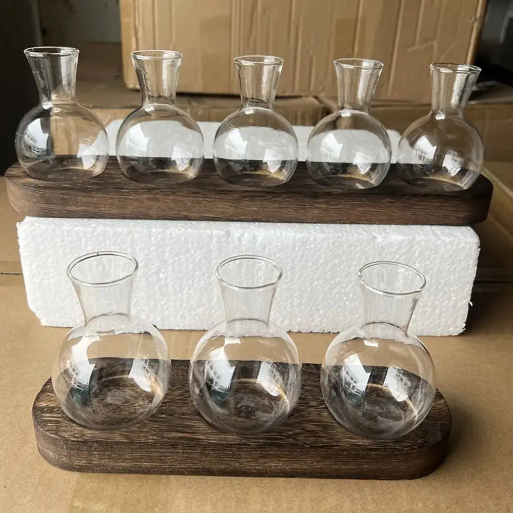 Modern Glass Propagation Vase with Wood Stand
