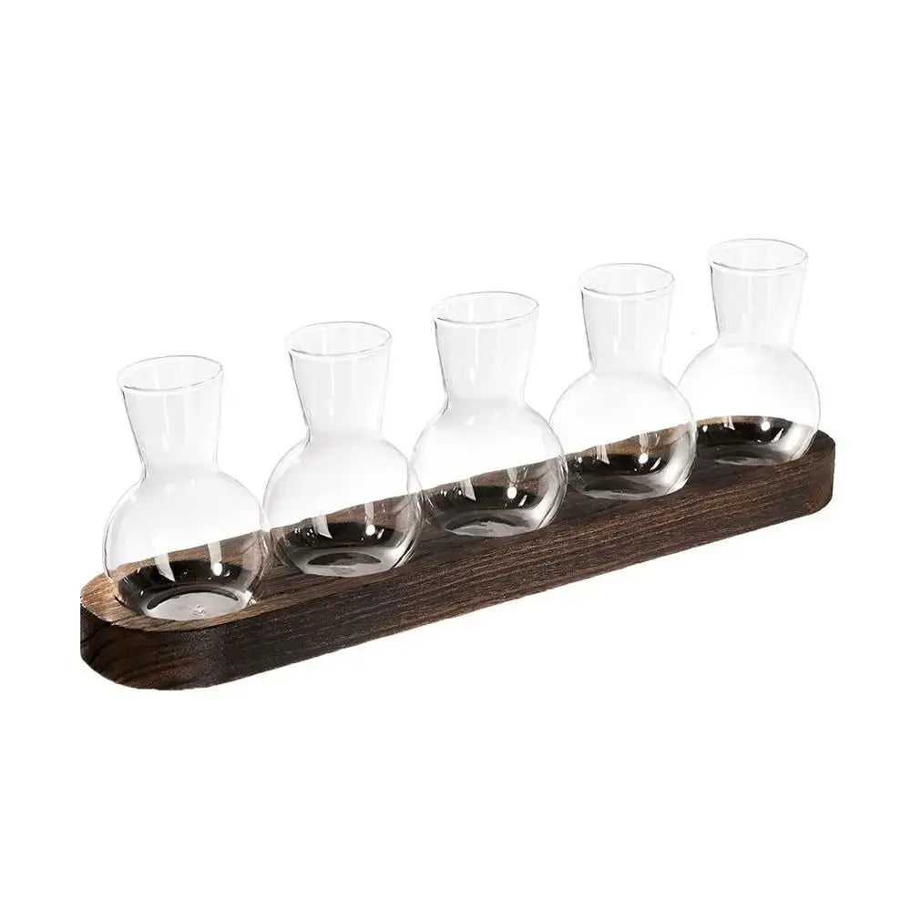 Modern Glass Propagation Vase with Wood Stand