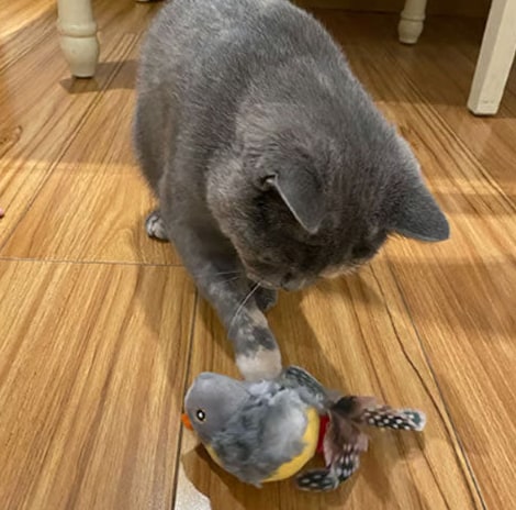 Interactive Bird Cat Toy With Realistic Sounds For Indoor Hunting Fun - Image 8