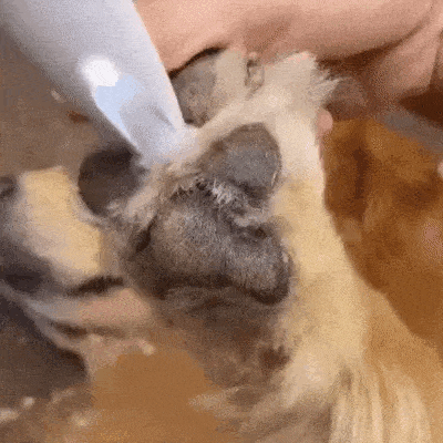 Silent Pet Trimmer For Dogs And Cats Quiet Hair Clipper With LED Light - Image 9