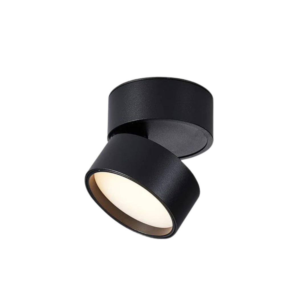 Modern LED Ceiling Light with Adjustable Head