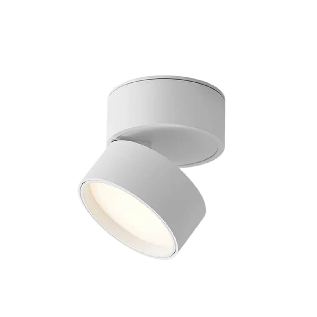 Modern LED Ceiling Light with Adjustable Head