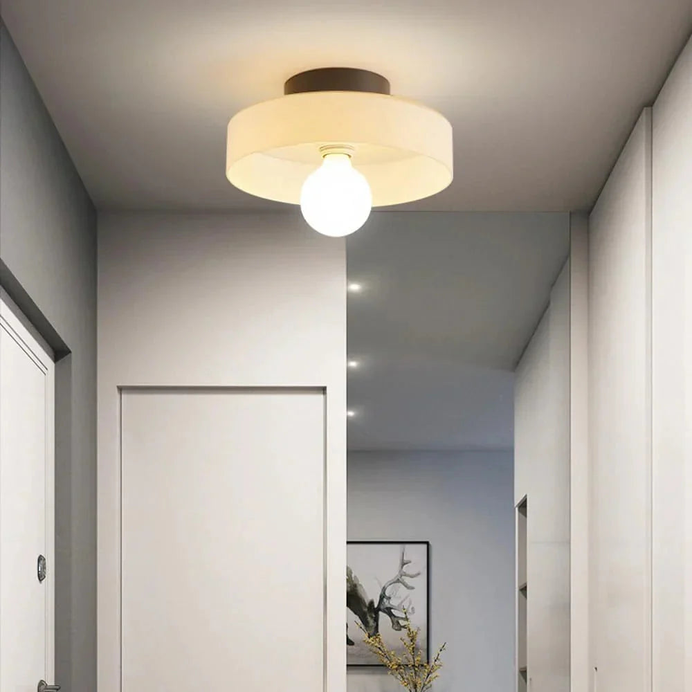 Modern Glass Disc Light with Dual Mounting