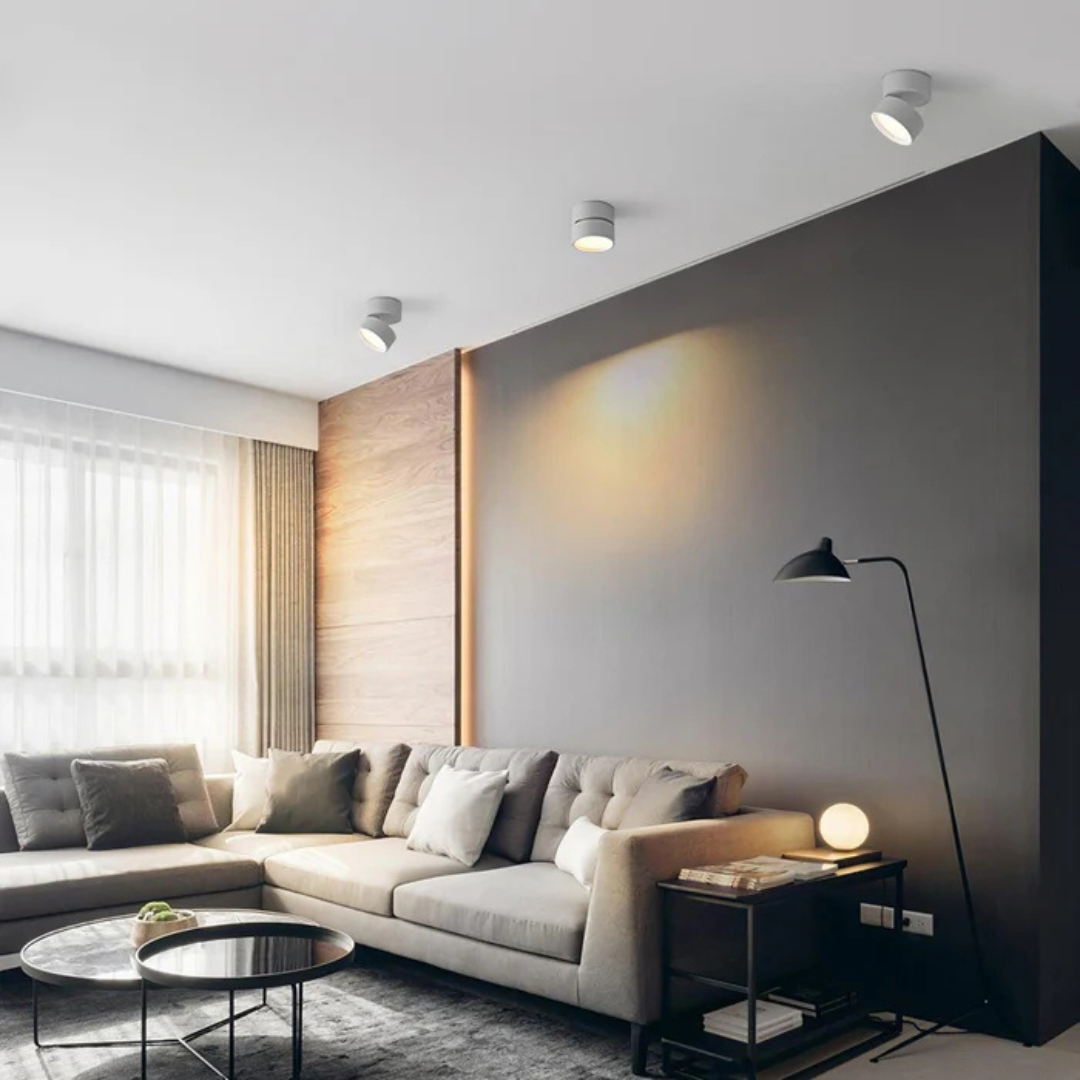 Modern LED Ceiling Light with Adjustable Head