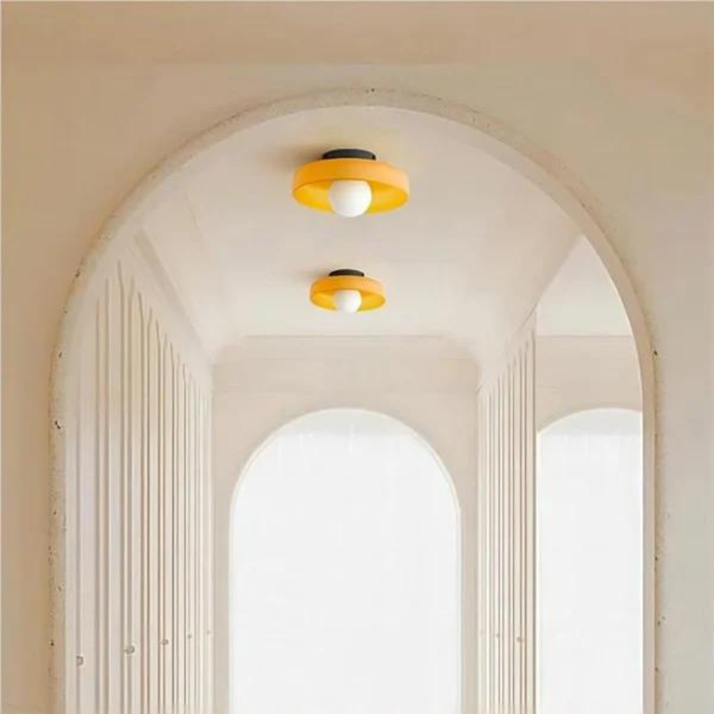Modern Glass Disc Light with Dual Mounting