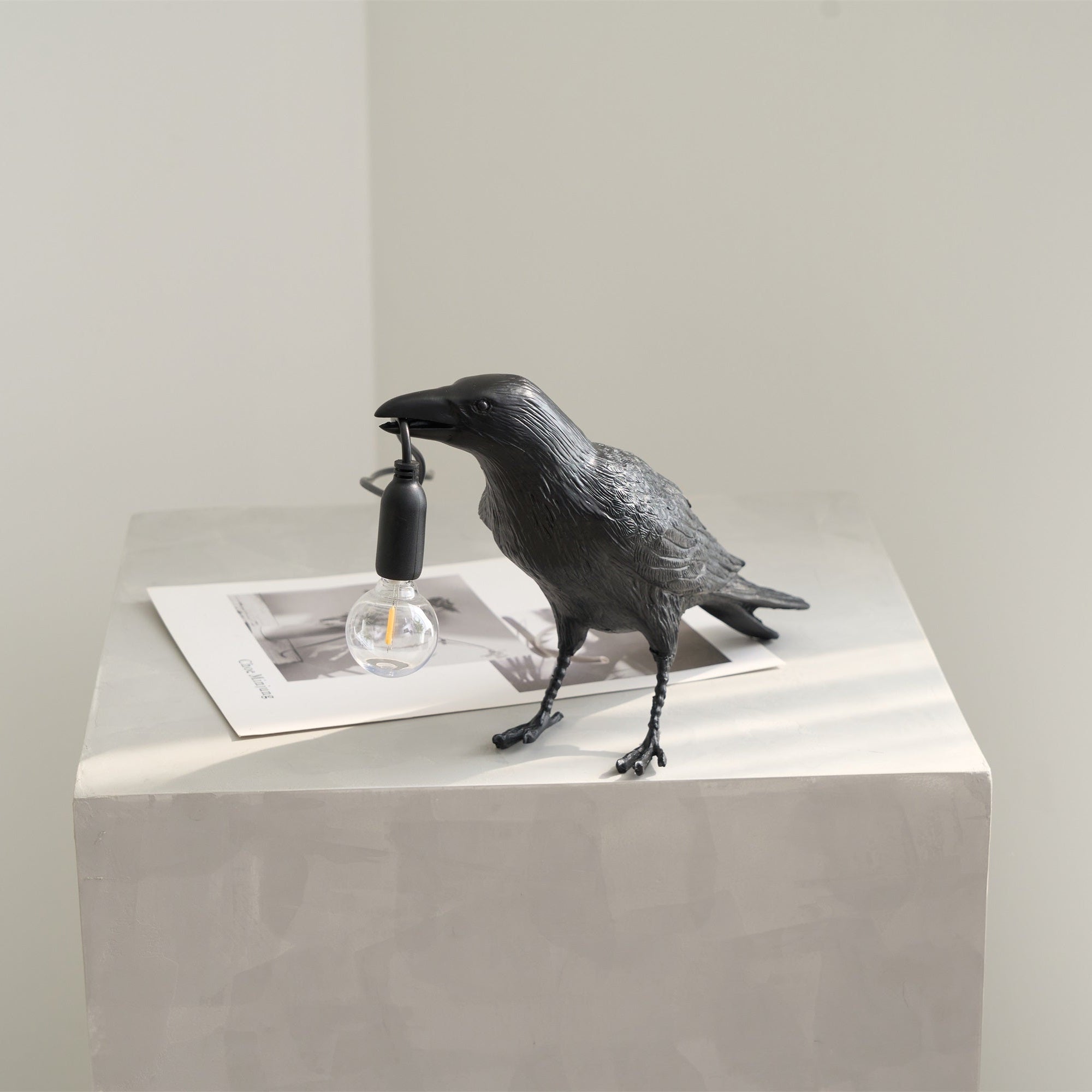 Black Resin Raven Lamp with Hanging LED Bulb