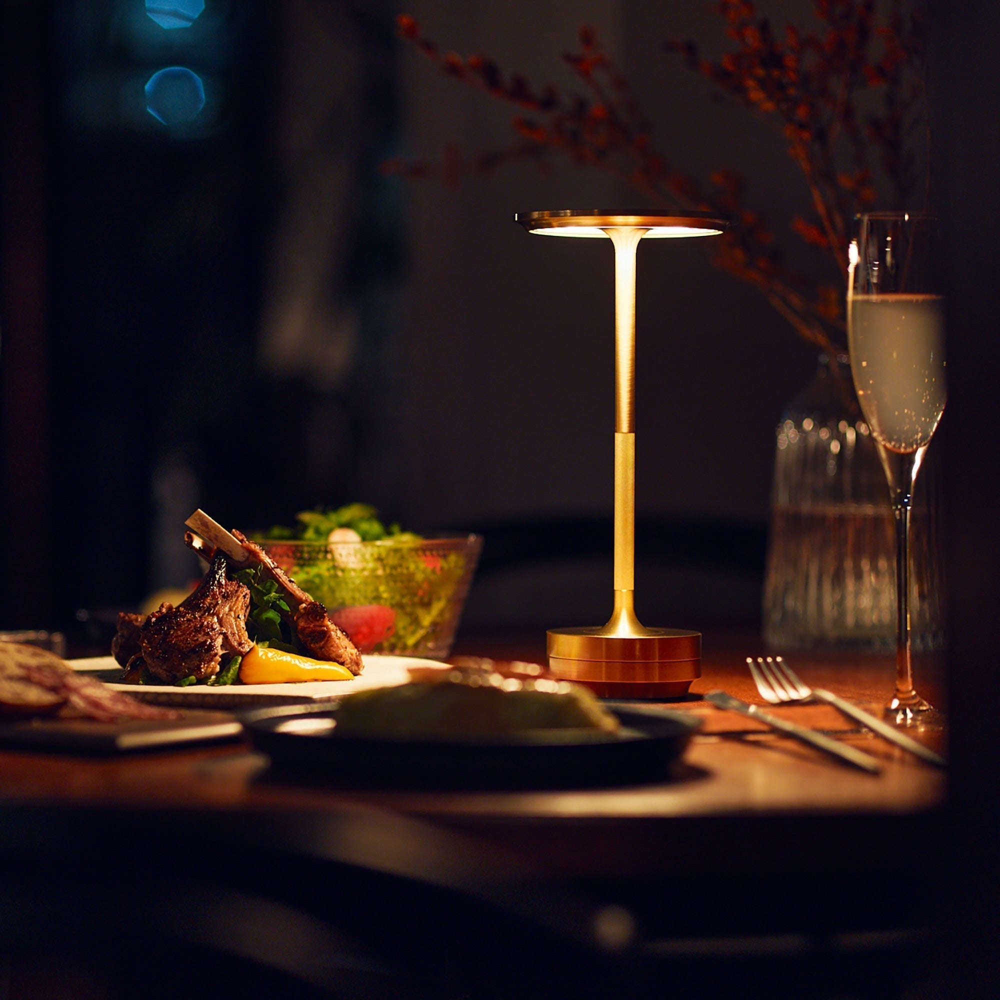 Brass Rechargeable Table Lamp with Disc Shade