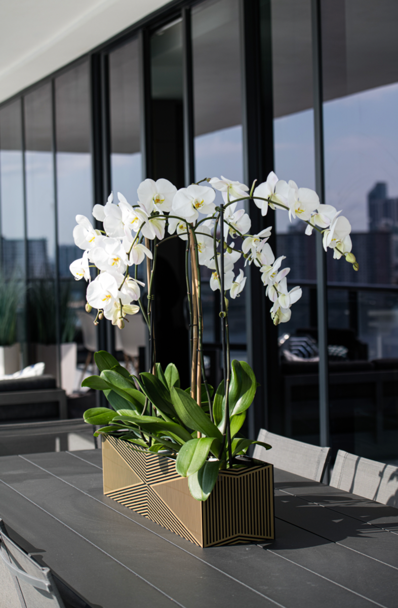 Flower Vase | Black and Gold
