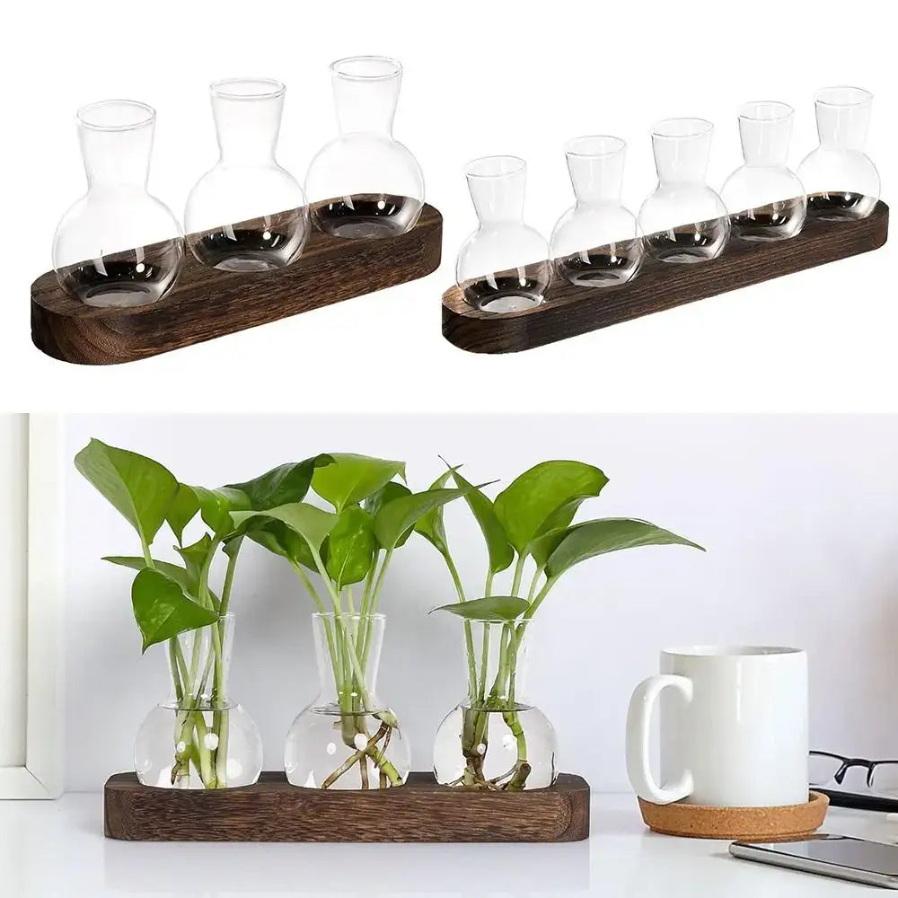 Modern Glass Propagation Vase with Wood Stand