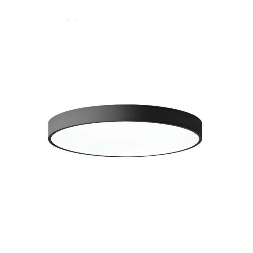 Modern Round LED Ceiling Light Color Changing