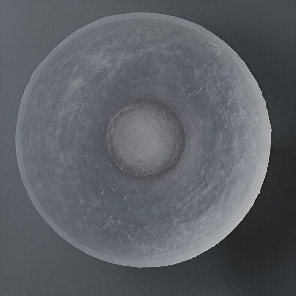 Modern Round Resin Wall Sconce with Halo Glow