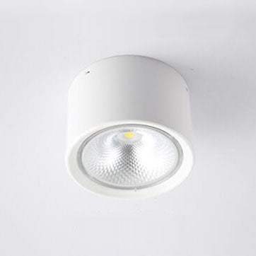 Nordic Cylinder Flush Mount LED Ceiling Light