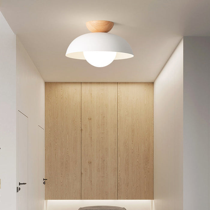 Modern Glass Dome Ceiling Light Wood Accent