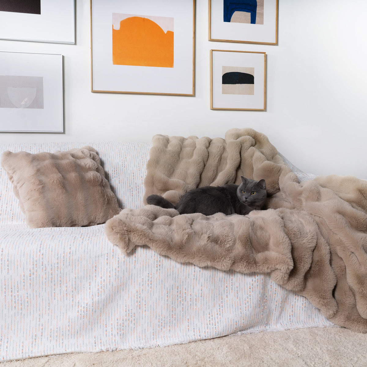 Plush Faux Fur Throw Set with Pillow Cover