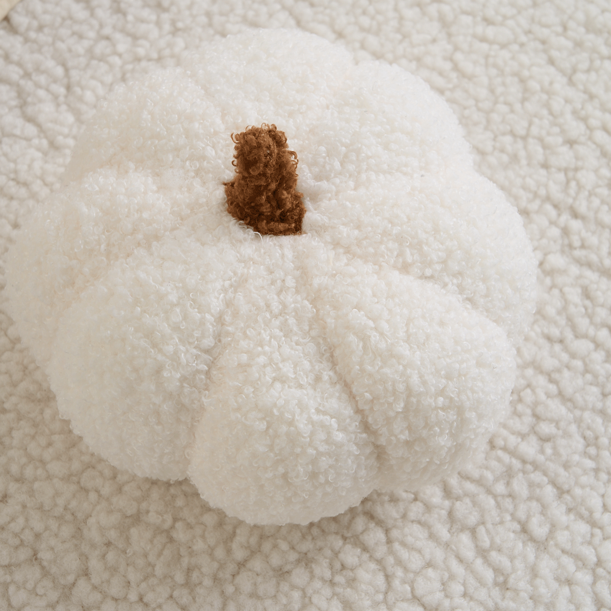 Plush Pumpkin Throw Pillow with Teddy Fleece
