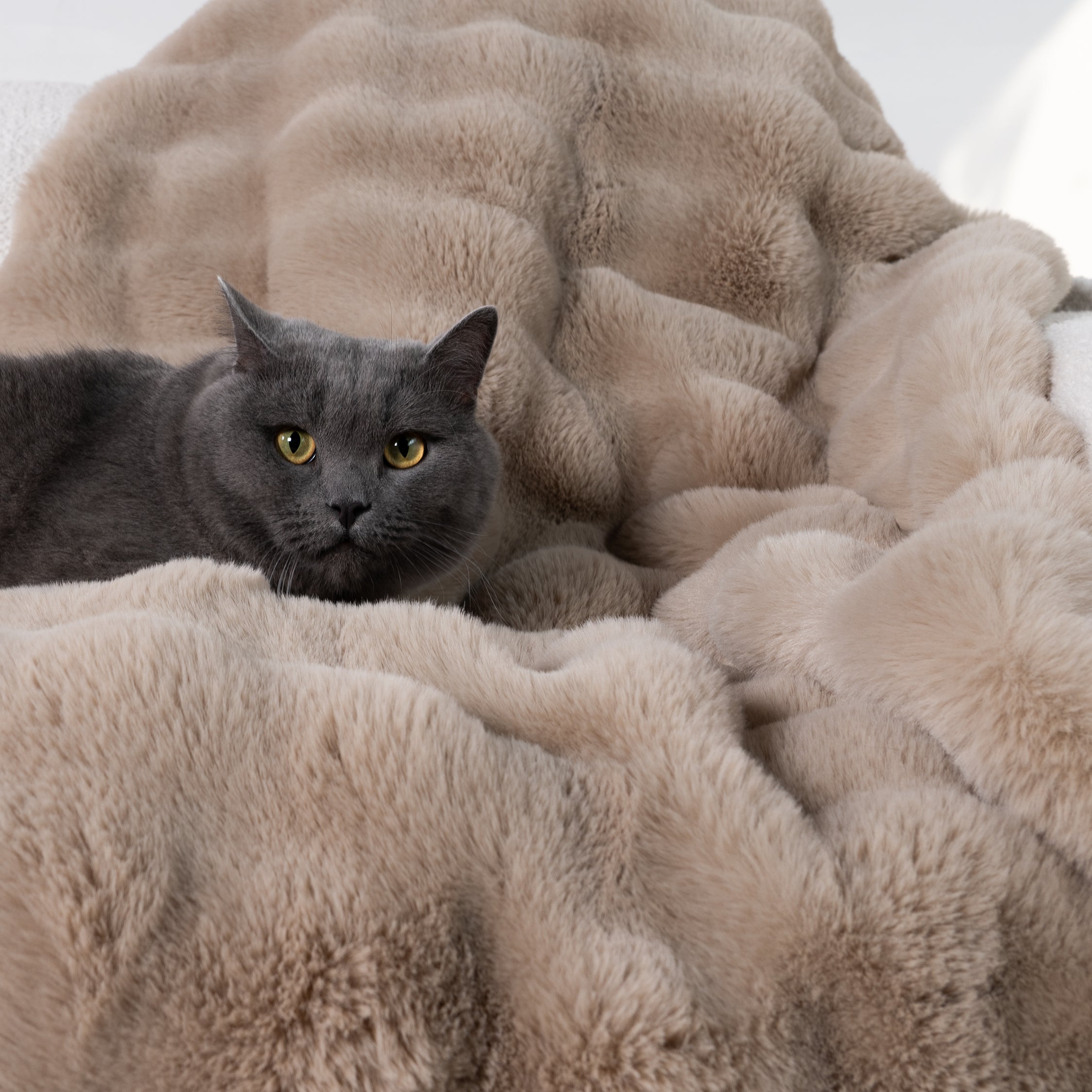Plush Rabbit Fur Throw with Ruched Texture