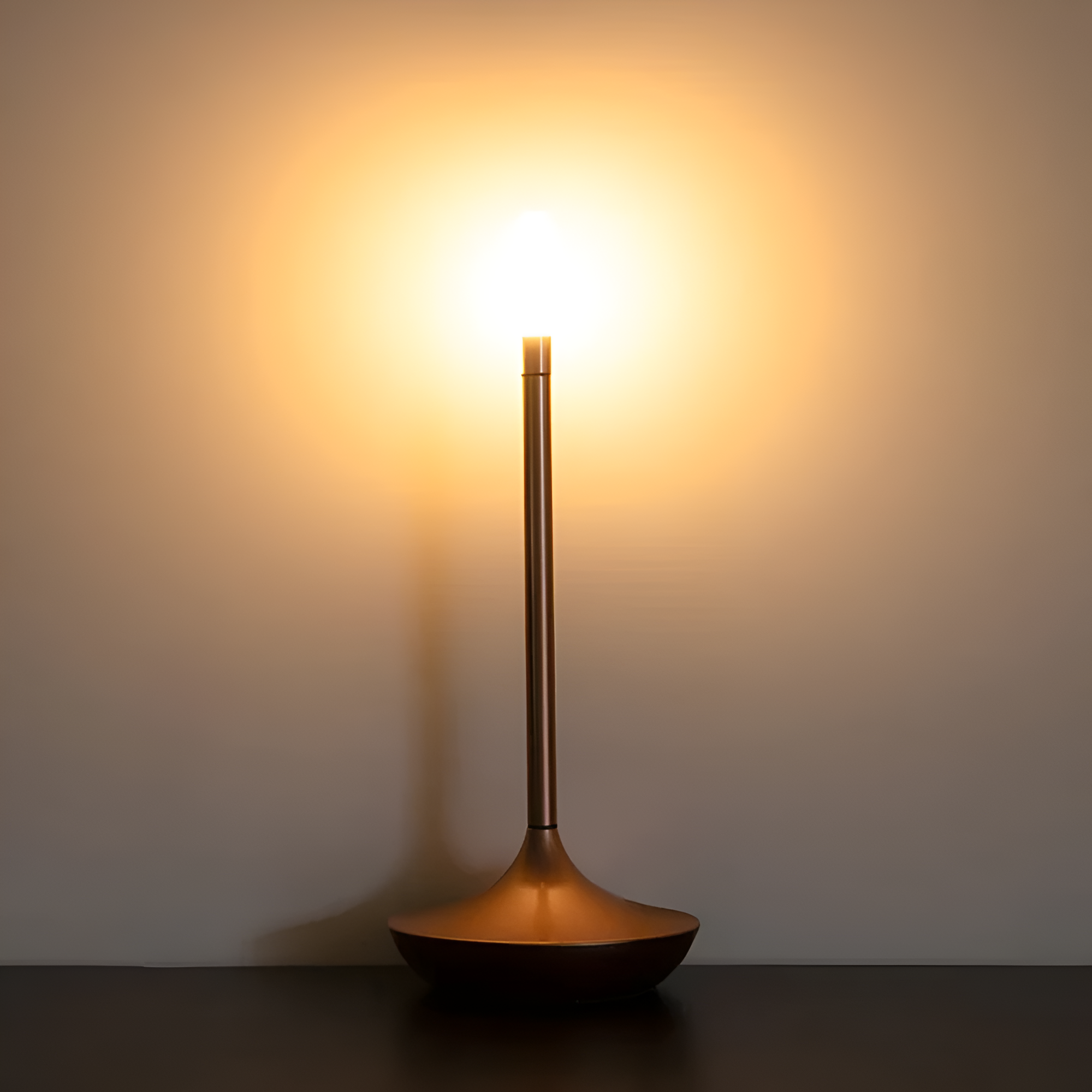 Portable Table Lamp with USB Charging