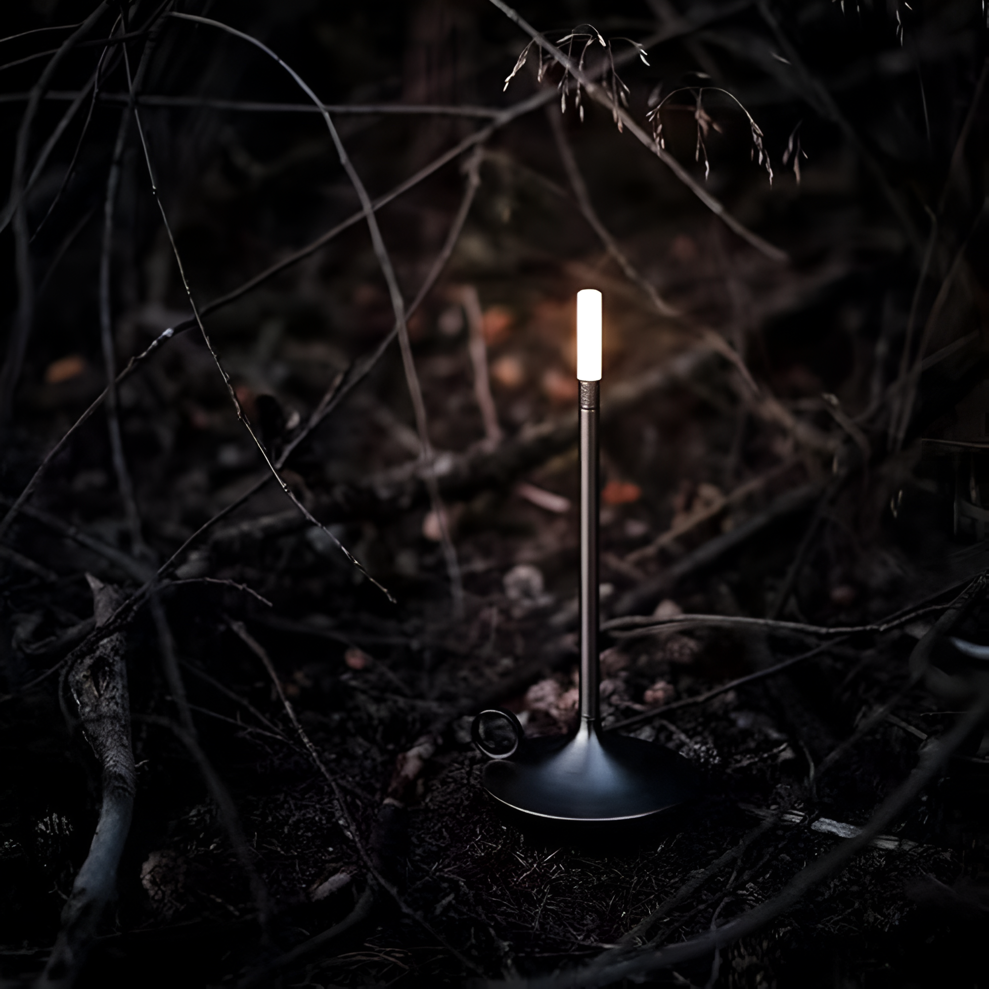 Portable Table Lamp with USB Charging