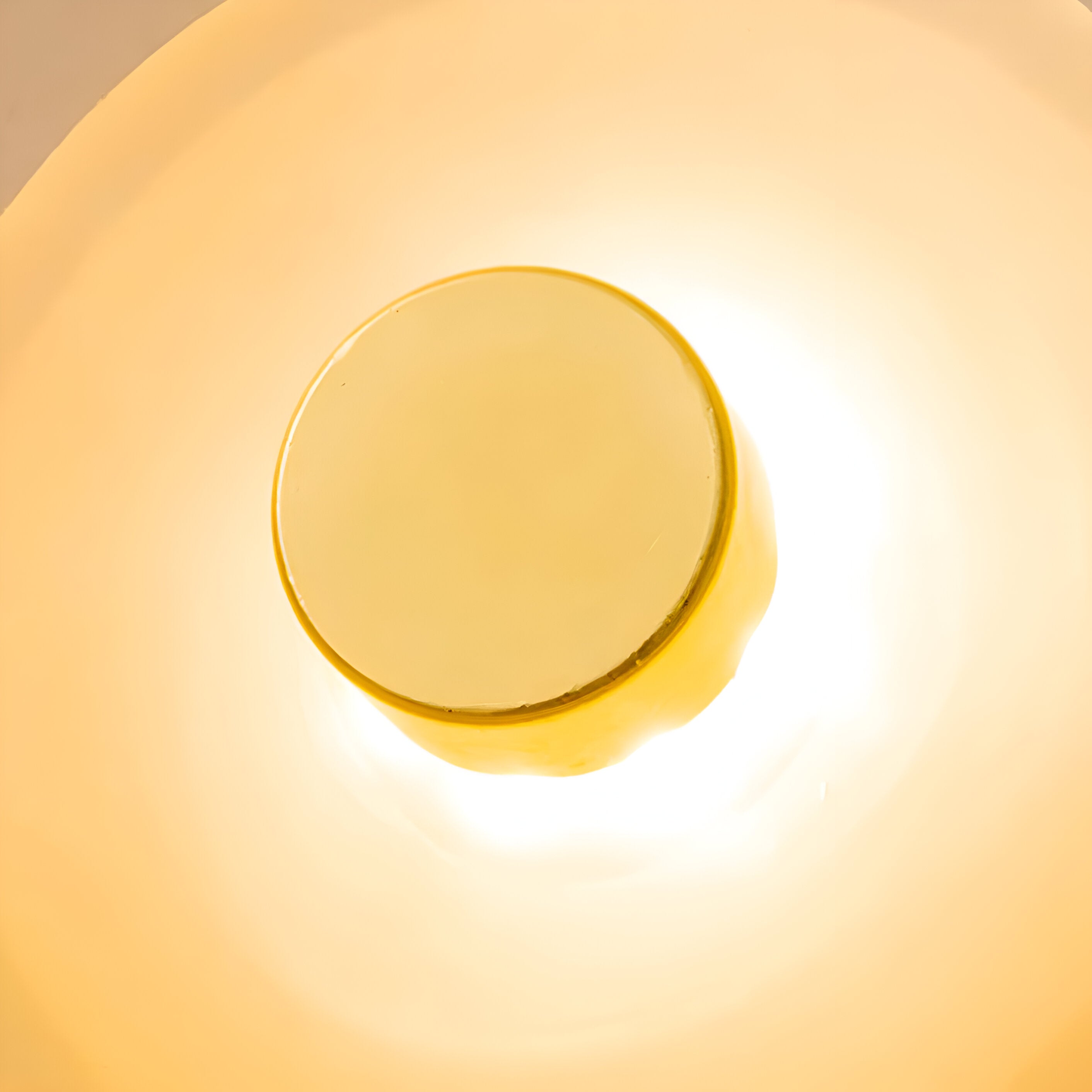 Japandi Glass Wall Sconce with Curved Shade