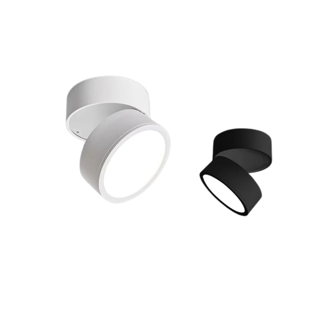 Modern LED Ceiling Light with Adjustable Head