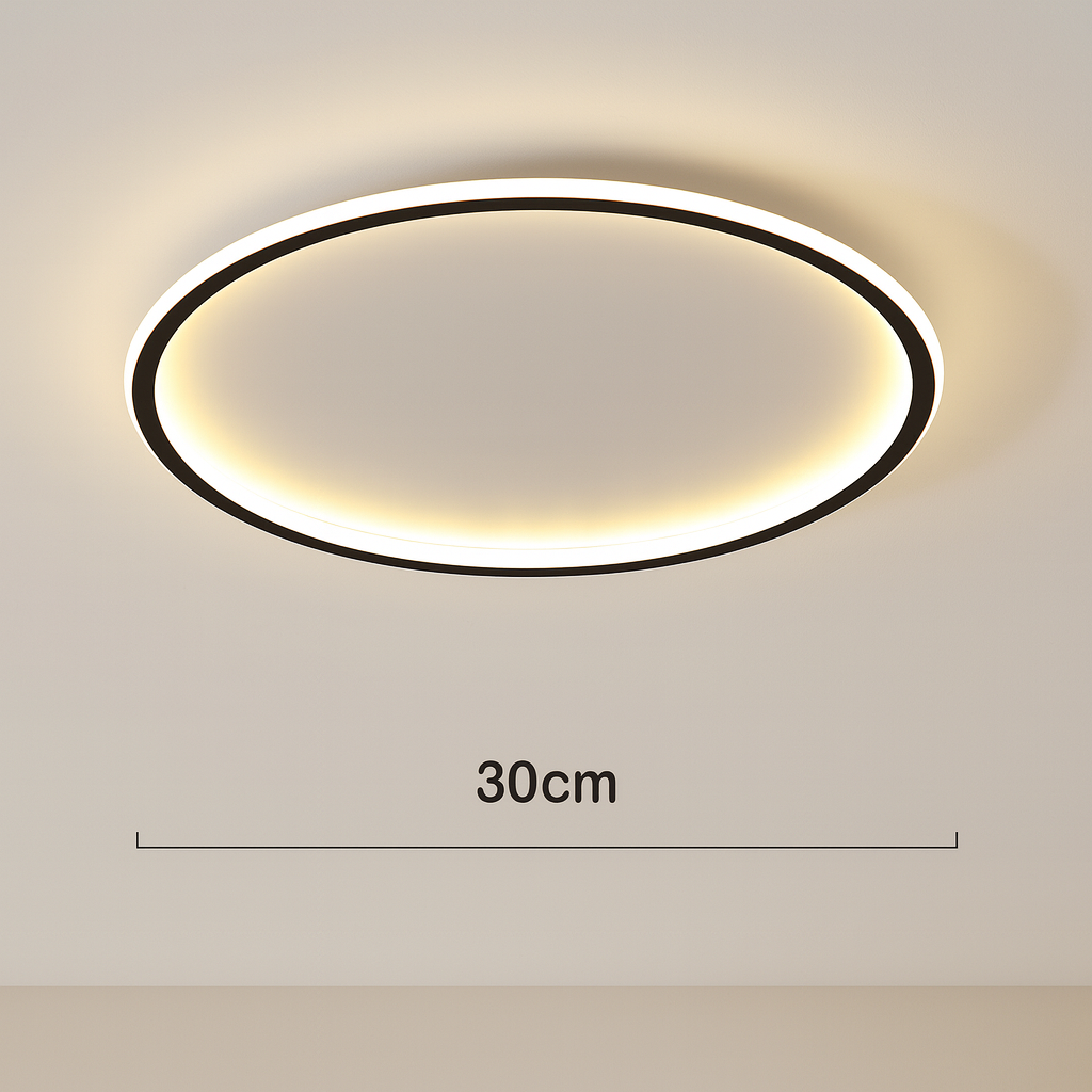 Scandinavian LED Ring Ceiling Light Fixture