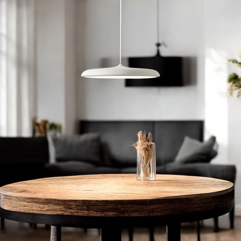 Scandinavian Round LED Pendant Disc Light