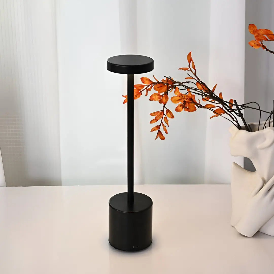 Rechargeable LED Table Lamp with Touch Dimmer