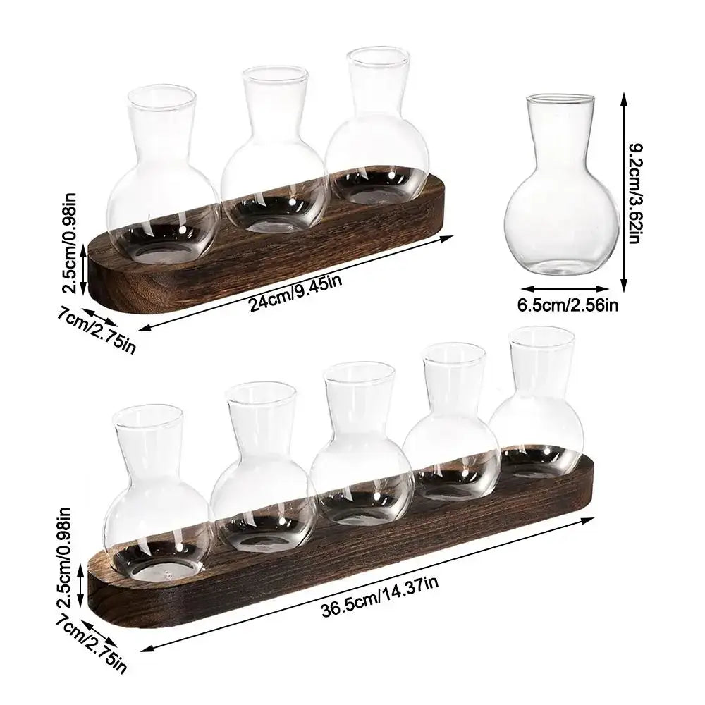 Modern Glass Propagation Vase with Wood Stand
