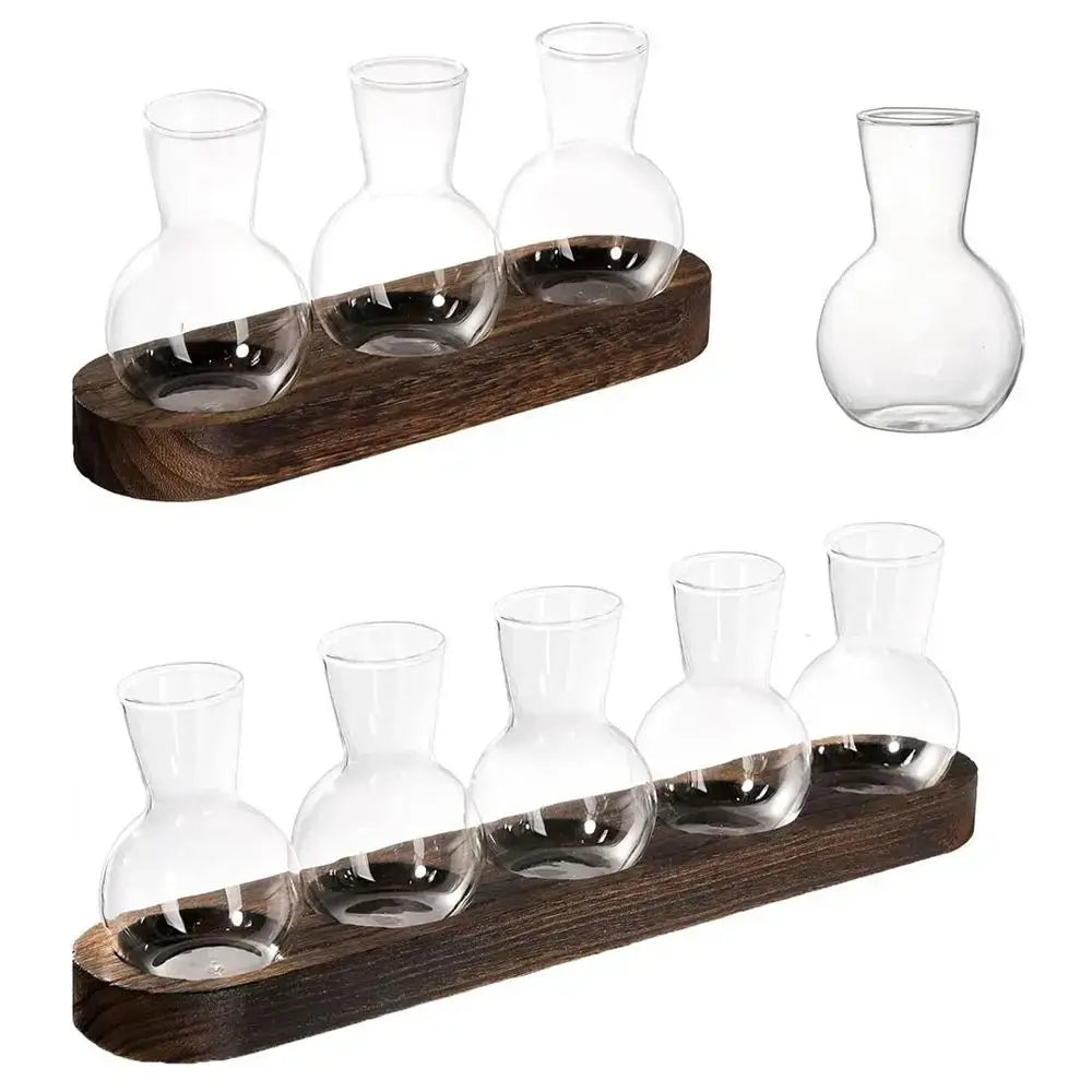 Modern Glass Propagation Vase with Wood Stand
