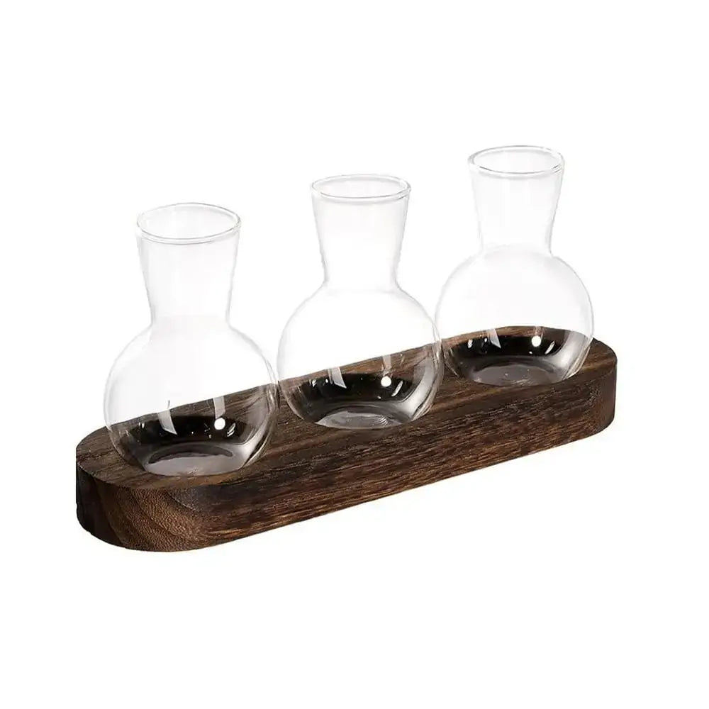 Modern Glass Propagation Vase with Wood Stand