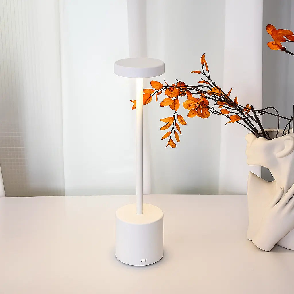 Rechargeable LED Table Lamp with Touch Dimmer