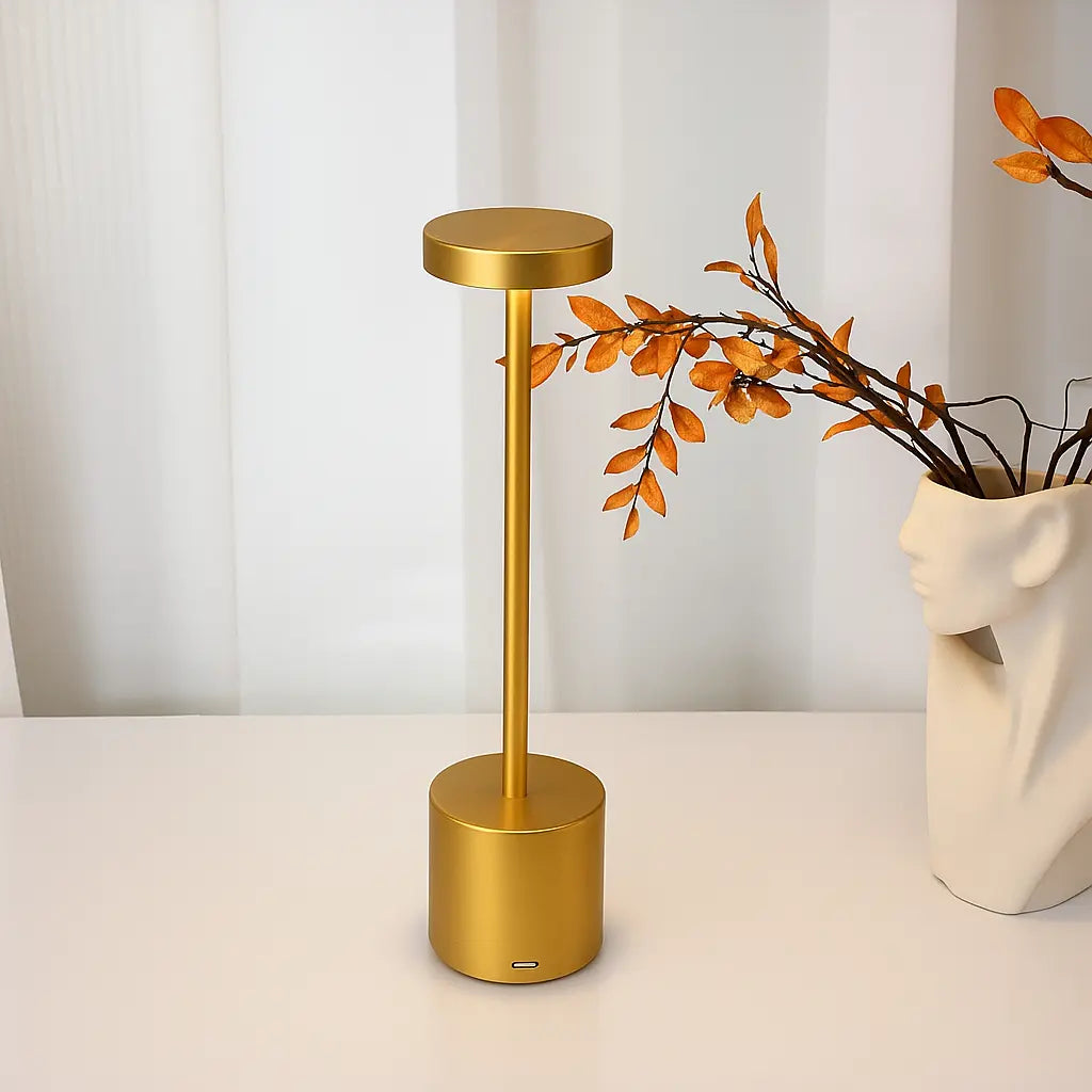 Rechargeable LED Table Lamp with Touch Dimmer